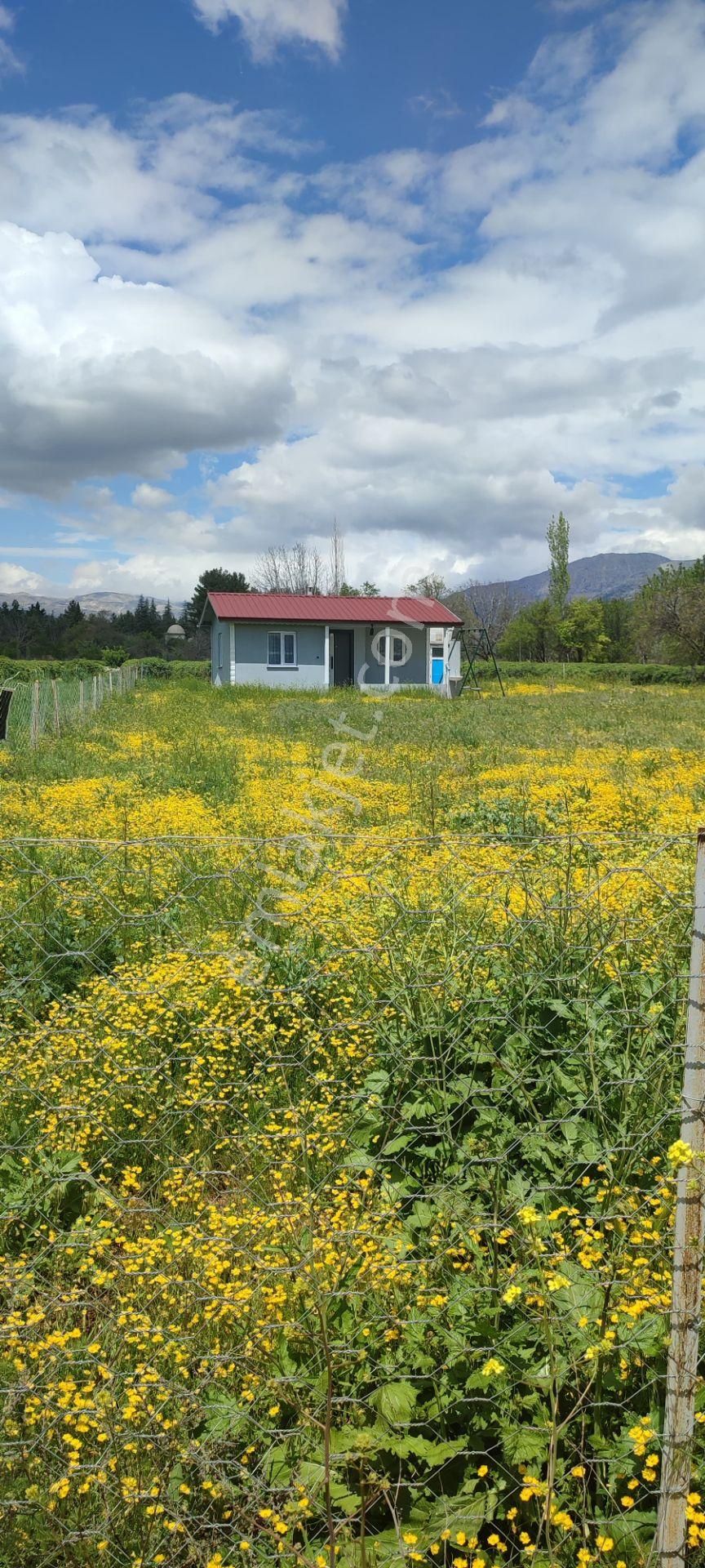 Isparta Atabey İslamköy'de Satılık Konteyner Evli Yolu Açık Hobi Bahçe - ISPARTA ATABEY fotoğraf 5